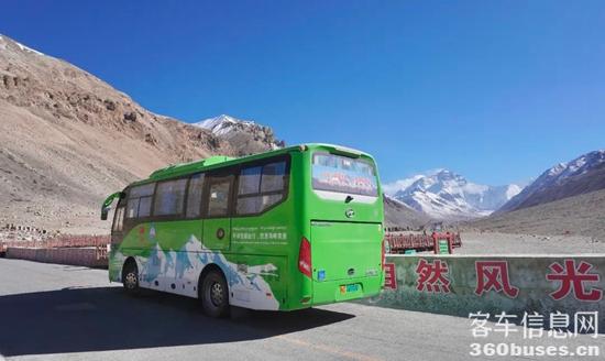 1741830053619851.jpg 7.jpg