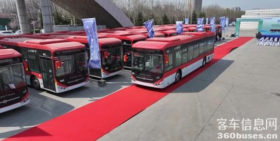 1743036801175004.jpg 9.jpg