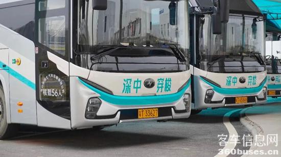 1743129046519266.jpg 4.jpg