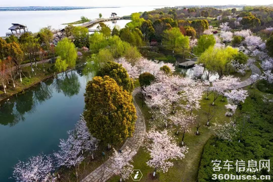 1743129906996923.png 10.png