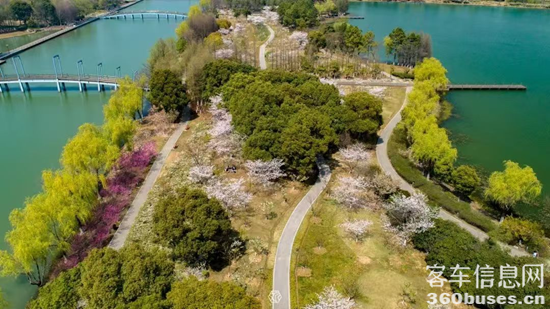 1743129913905348.png 12.png