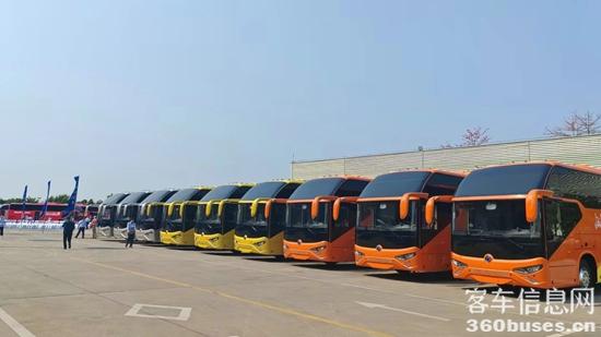 1743383561557020.jpg 3.jpg