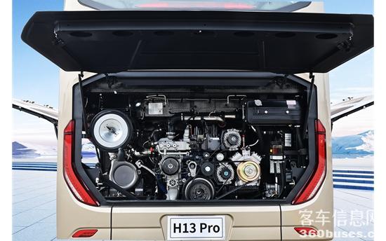 1743475246500483.jpg 3.jpg