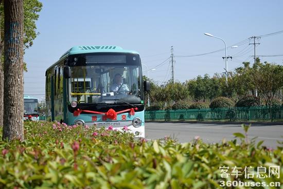 1744769858246570.jpg 1.jpg