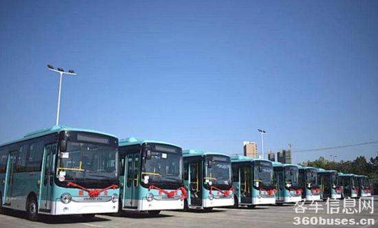 1744769869359914.jpg 3.jpg