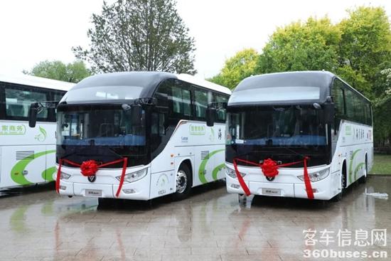 1747016496707158.jpg 2.jpg