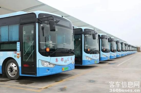 1747021744689633.jpg 1.jpg