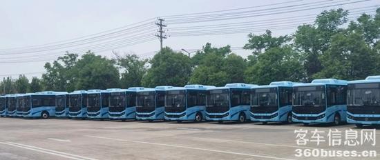 1747104856157599.jpg 1.jpg