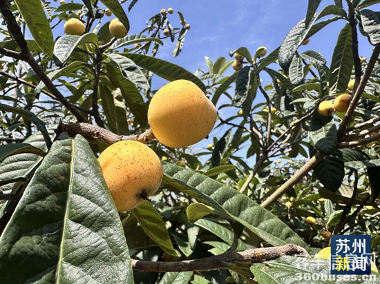 1747882705972795.png 1.png