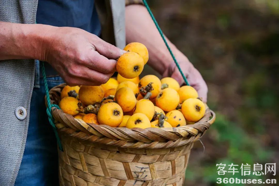 1747882927941217.png 8.png