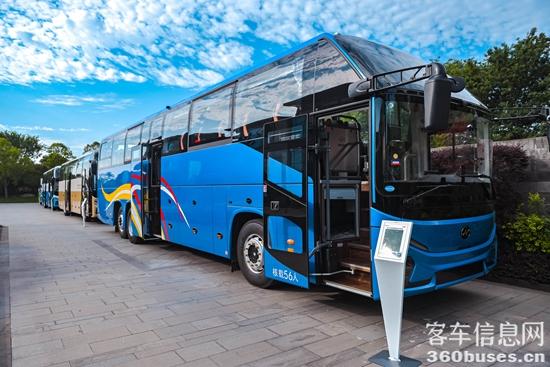 1749692016623556.jpg 5.jpg