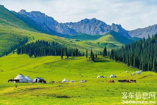 1749694162595818.jpg 2.jpg