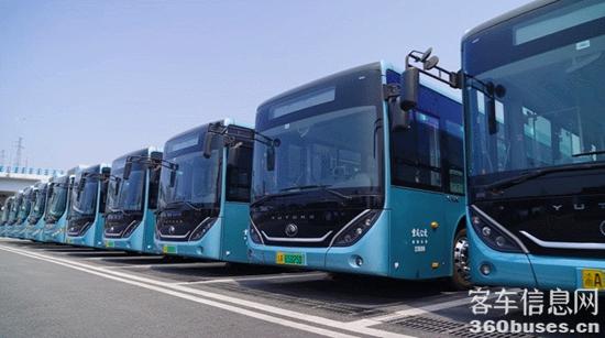 1749784749197392.jpg 2.jpg