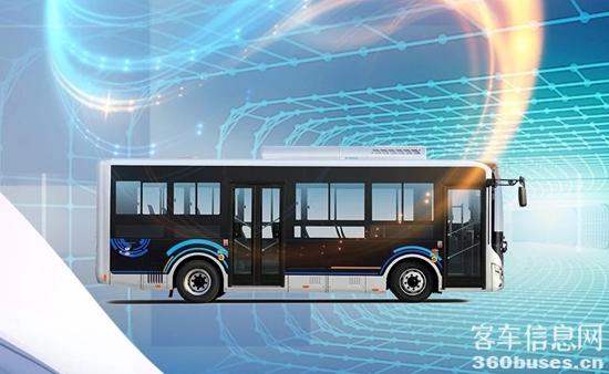 1750510992549798.jpg 7.jpg