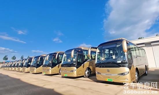 1750511004146979.jpg 9.jpg