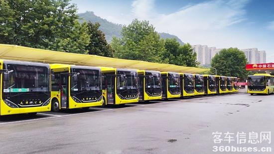 1751334566603102.jpg 2.jpg