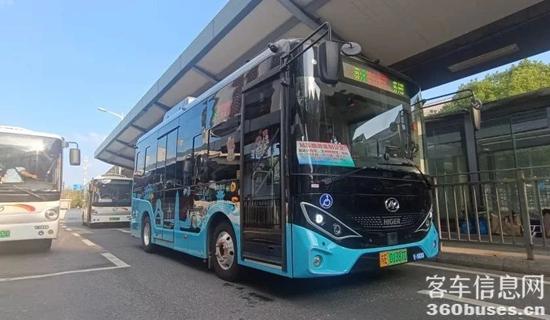 1751347066706284.jpg 4.jpg