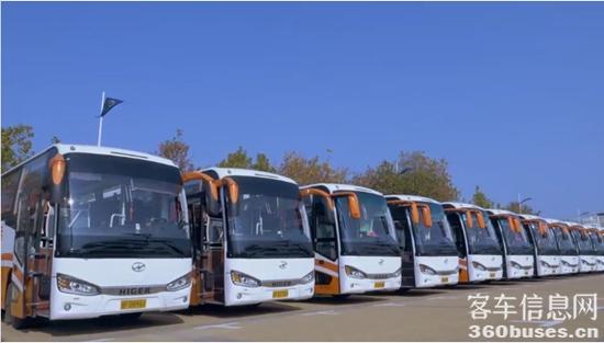 1752561256479026.jpg 2.jpg