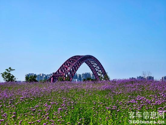 1753672177890327.jpg 1.jpg