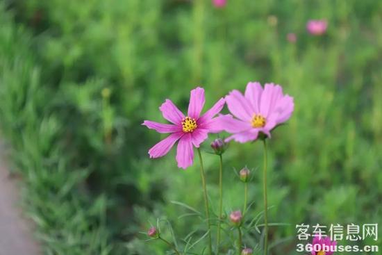 1753672526262180.jpg 2.jpg