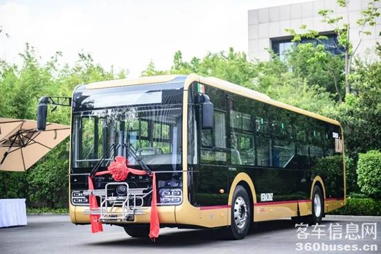 1754989116628045.jpg 7.jpg