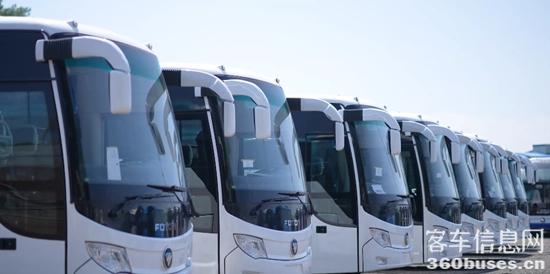 1756864419322703.jpg 2.jpg