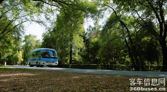 1761105339994031.jpg 1.jpg