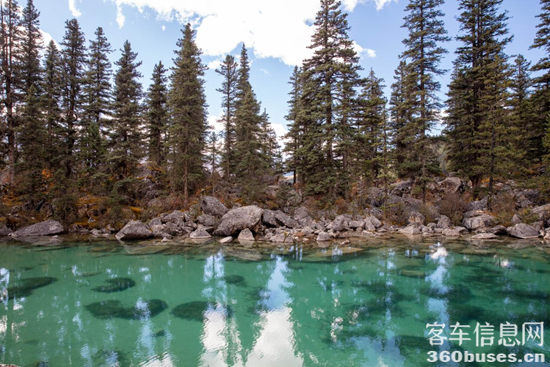 1761124141234452.png 圖片2.png