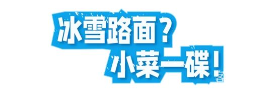 1762852096776654.jpg 3.jpg