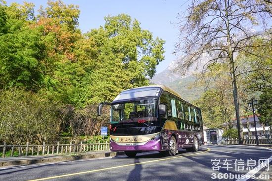 1763104583640457.jpg 6.jpg