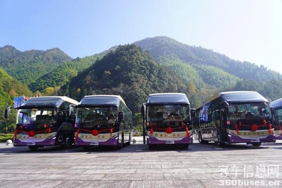 1763104606217583.jpg 10.jpg