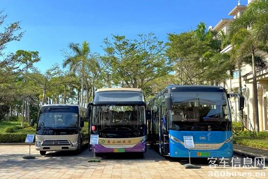 1764552704171984.jpg 3.jpg