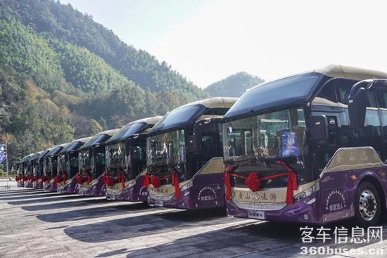 1764552720355597.jpg 5.jpg