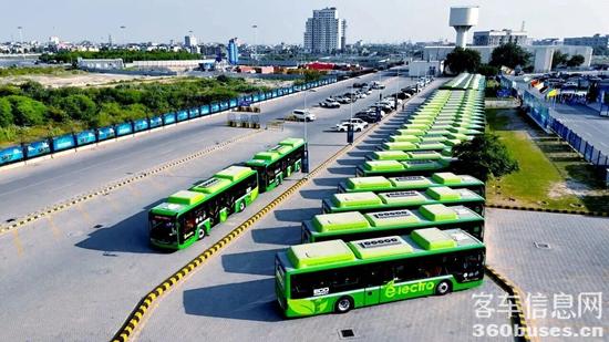 1764911263808059.jpg 3.jpg