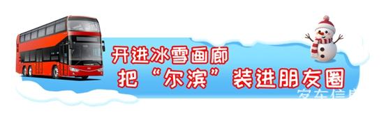 1765242201525036.jpg 1.jpg