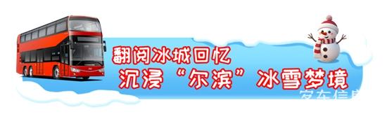 1765242223290221.jpg 4.jpg