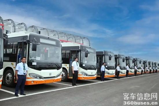 1765359209170775.jpg 2.jpg