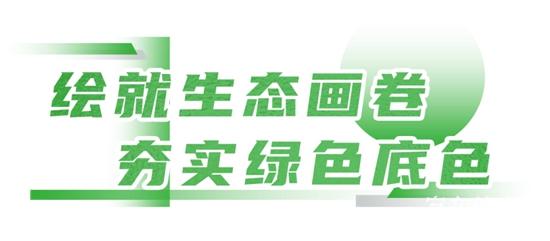 1765769991657222.jpg 2.jpg