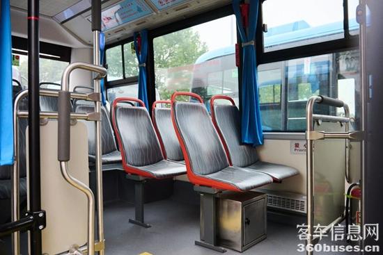 1766381536457446.jpg 10.jpg