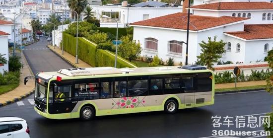 1766398313402994.jpg 3.jpg