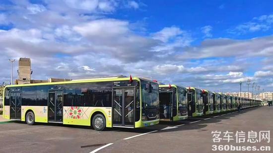 1766398324636793.jpg 4.jpg