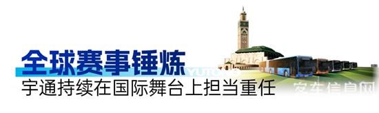 1766398353793494.jpg 6.jpg