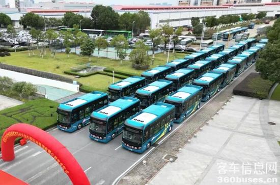 1766989772282522.jpg 8.jpg