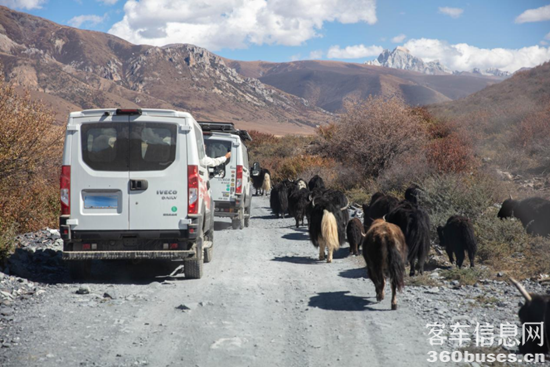 1767170299125392.png 圖片4.png