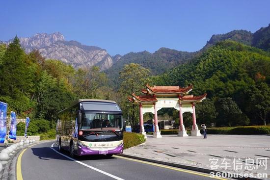 1767496682411182.jpg 9.jpg