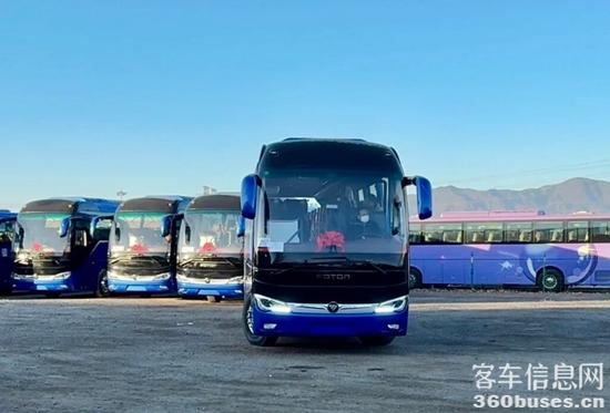 1767751514252528.jpg 2.jpg