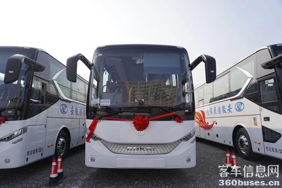 1767754815655393.jpg 7.jpg