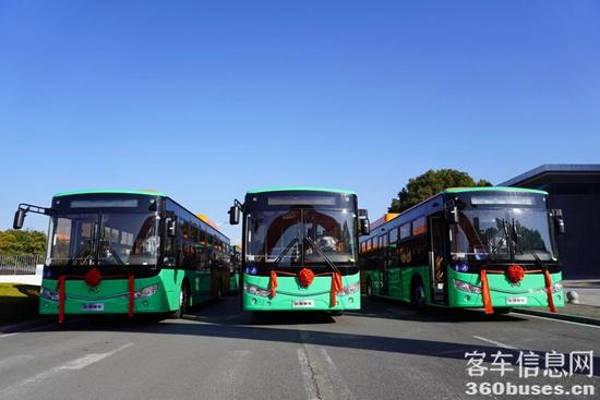 1767781753154010.jpg 5.jpg