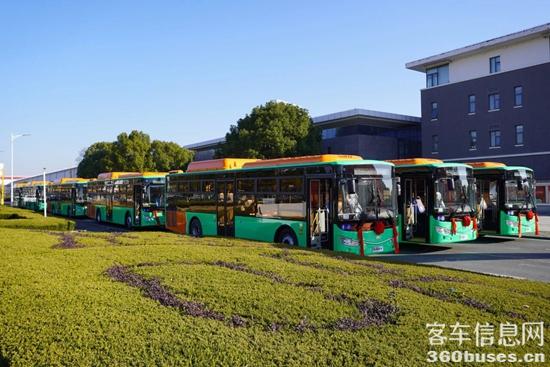 1767781824312454.jpg 10.jpg