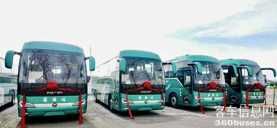 1768352453505816.jpg 5.jpg